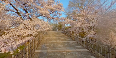 Himeji Castle3 Forecourt of Himeji Castle